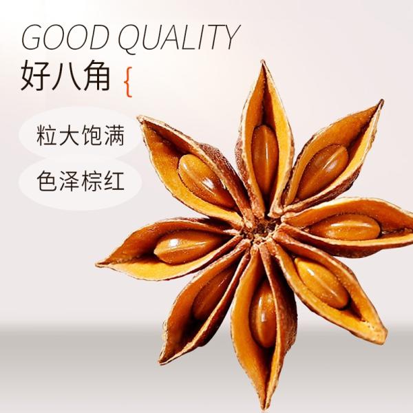 Organic Star Anise Factory Wholesale - Lvkang Spices - Image 4