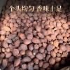 Bulk Tsao-Ko for Braising & Stewing - LvKang - Image 5
