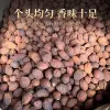 散装草果 - 图片 5