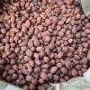 Bulk Tsao-Ko for Braising & Stewing - LvKang - Image 6