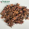 散装春花八角 - 图片 4
