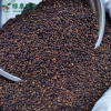 散装黑胡椒粒 - 牛排腌料西餐绝配 - 防城港绿康 - 图片 4