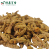 Wholesale Turmeric - Bulk Economical Pack - Cooking - front/product.image 5