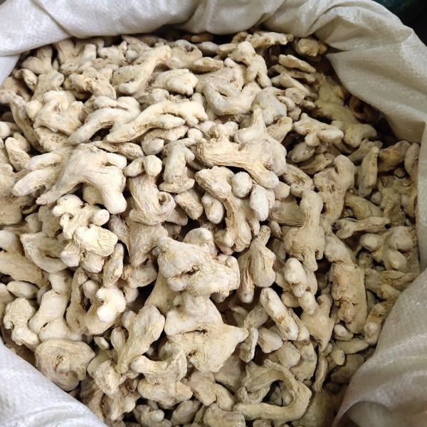 LvKang Spice: Bulk Premium Dried Ginger Slices - Shandong Specialty - Image 3