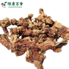 LvKang Spice: Bulk Premium Galangal - Guangdong - front/product.image 2