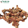 Wholesale Galangal - Bulk Economical Pack - Cooking - Image 4