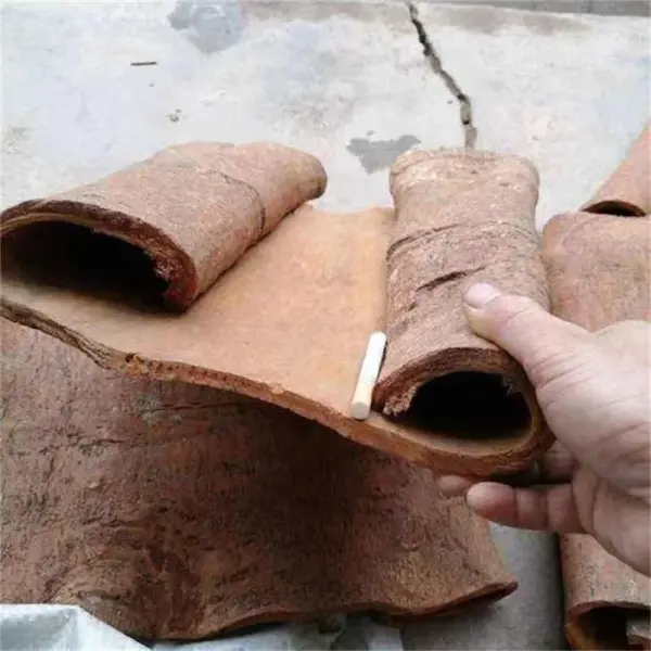 Bulk Cassia Bark - Large Cinnamon Bark Supply from Guangxi | Lykang - Image 3
