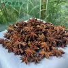 Bulk Red Star Anise - Guangxi Whole Star Anise Supply | Lykang - Image 4