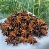 Bulk Red Star Anise - Guangxi Whole Star Anise Supply | Lykang - Image 3