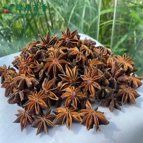 Bulk Red Star Anise - Guangxi Whole Star Anise Supply | Lykang - Image 3
