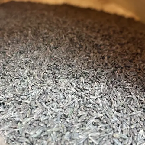 Bulk Cumin Seeds in Large Bags - Foodservice and Processing Supply | Lykang