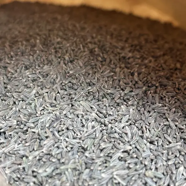 Bulk Cumin Seeds in Large Bags - Foodservice and Processing Supply | Lykang - Image 1