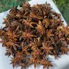 Bulk Red Star Anise - Guangxi Whole Star Anise Supply | Lykang - Image 5