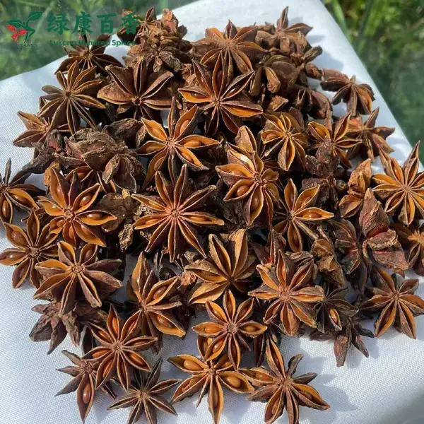 Bulk Red Star Anise - Guangxi Whole Star Anise Supply | Lykang - Image 5