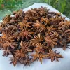Bulk Red Star Anise - Guangxi Whole Star Anise Supply | Lykang - Image 6