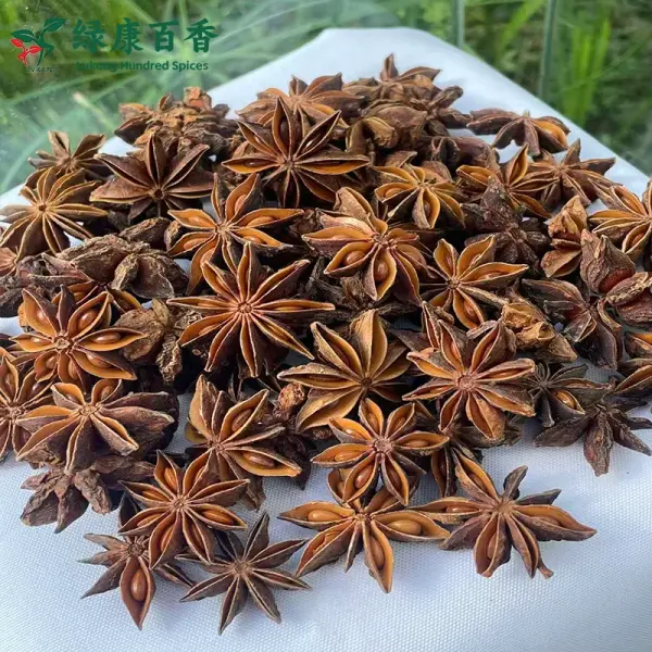 Bulk Red Star Anise - Guangxi Whole Star Anise Supply | Lykang - Image 6
