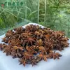 Bulk Red Star Anise - Guangxi Whole Star Anise Supply | Lykang - Image 2