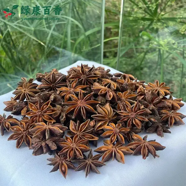 Bulk Red Star Anise - Guangxi Whole Star Anise Supply | Lykang - Image 2