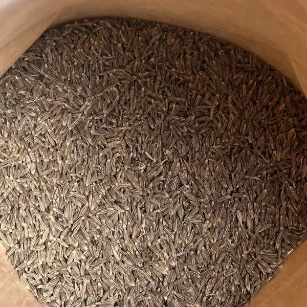 Bulk Cumin Seeds in Large Bags - Foodservice and Processing Supply | Lykang - Image 2