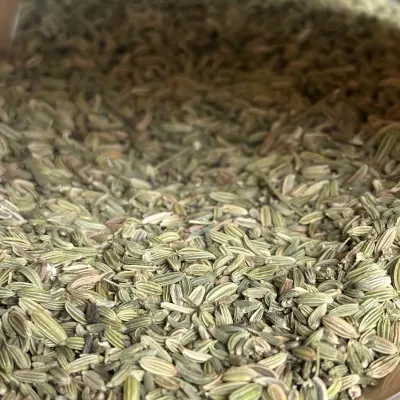 Fennel Seeds in Large Bags