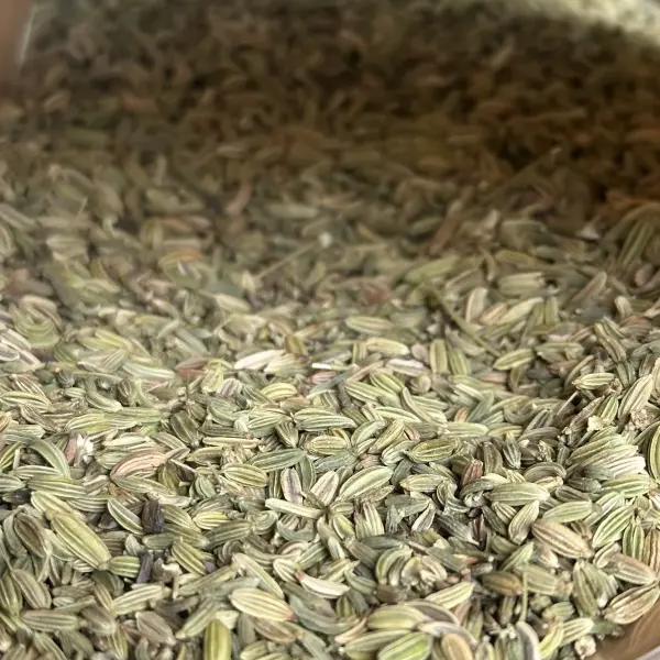 Bulk Fennel Seeds in Large Bags - Foodservice and Processing Supply | Lykang - Image 1