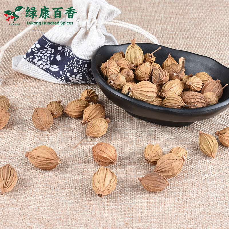 Wholesale Amomum Villosum - Bulk Economical Pack - Cooking
