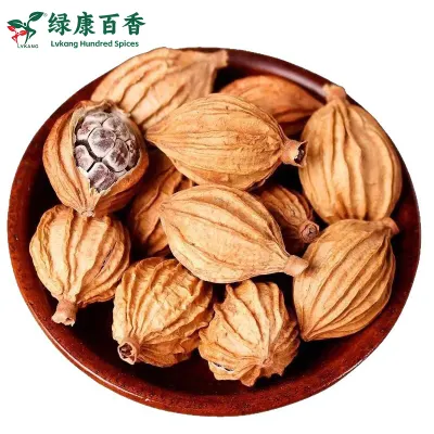 供应优质香砂批发 - 云南特产