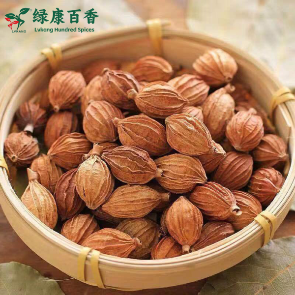 Wholesale Amomum Villosum - Bulk Economical Pack - Cooking - Image 4