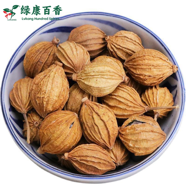 Wholesale Amomum Villosum - Bulk Economical Pack - Cooking - Image 5