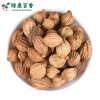 Wholesale Amomum Villosum - Bulk Economical Pack - Cooking - Image 6