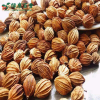 Wholesale Amomum Villosum - Bulk Economical Pack - Cooking - Image 7