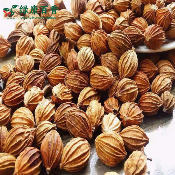 Wholesale Amomum Villosum - Bulk Economical Pack - Cooking - Image 7