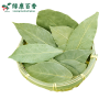 Dry fragrant leaf planting base - source factory supplying high-quality fragrant leaves - Lvkang Spice - Image 3