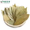 Dry fragrant leaf planting base - source factory supplying high-quality fragrant leaves - Lvkang Spice - Image 5