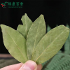 Dry fragrant leaf planting base - source factory supplying high-quality fragrant leaves - Lvkang Spice - Image 2