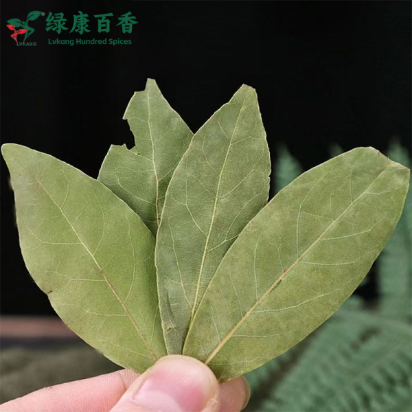 Dry fragrant leaf planting base - source factory supplying high-quality fragrant leaves - Lvkang Spice - Image 2