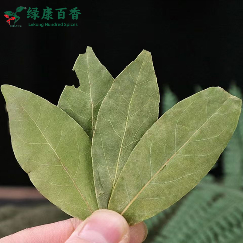 Wholesale Dried Bay Leaves - Bulk Economical Pack - Western Cuisine