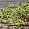 绿康香料：散装优质小茴香 - 甘肃特产 - 图片 1