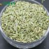 绿康香料：散装优质小茴香 - 甘肃特产 - 图片 3