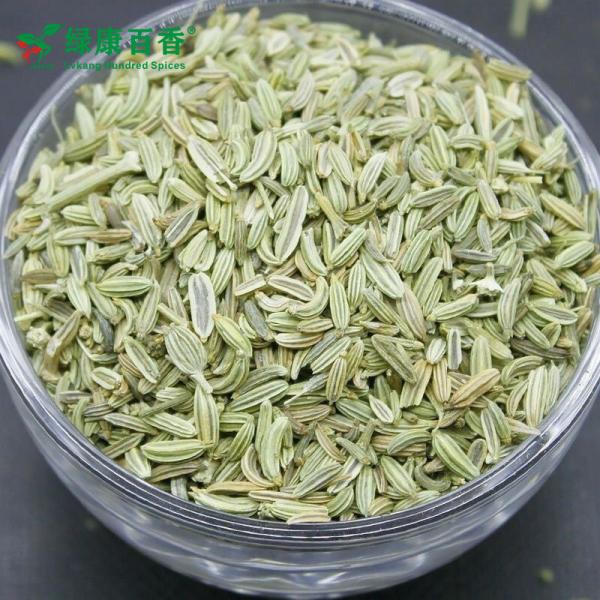 绿康香料：散装优质小茴香 - 甘肃特产 - 图片 3