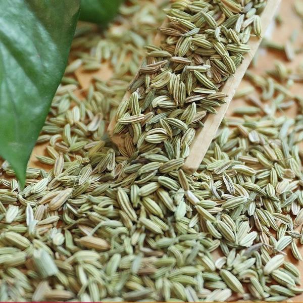 绿康香料：散装优质小茴香 - 甘肃特产 - 图片 4