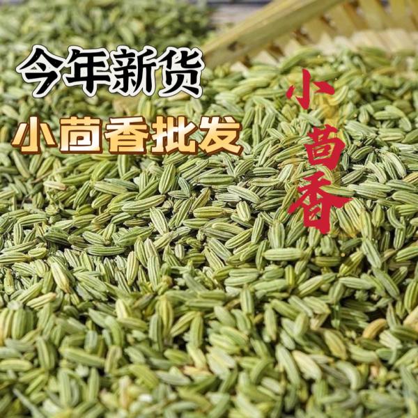 绿康香料：散装优质小茴香 - 甘肃特产 - 图片 5