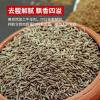 散装孜然粒 - 烧烤牛羊肉必备香料 - 防城港绿康 - 图片 2