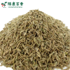 散装孜然粒 - 烧烤牛羊肉必备香料 - 防城港绿康 - 图片 6