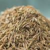 Wholesale Cumin Seeds - Bulk Economical Pack - Cooking - front/product.image 5