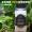 35g black pepper powder 1 bottle