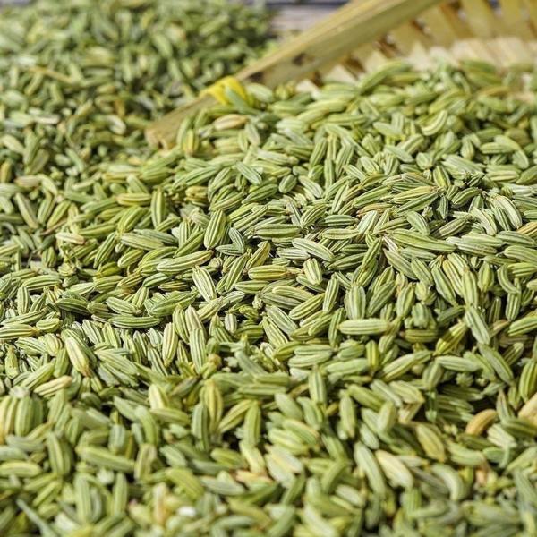 Wholesale Fennel Seeds - Bulk Economical Pack - Cooking - Image 4