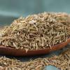Wholesale Cumin Seeds - Bulk Economical Pack - Cooking - front/product.image 2