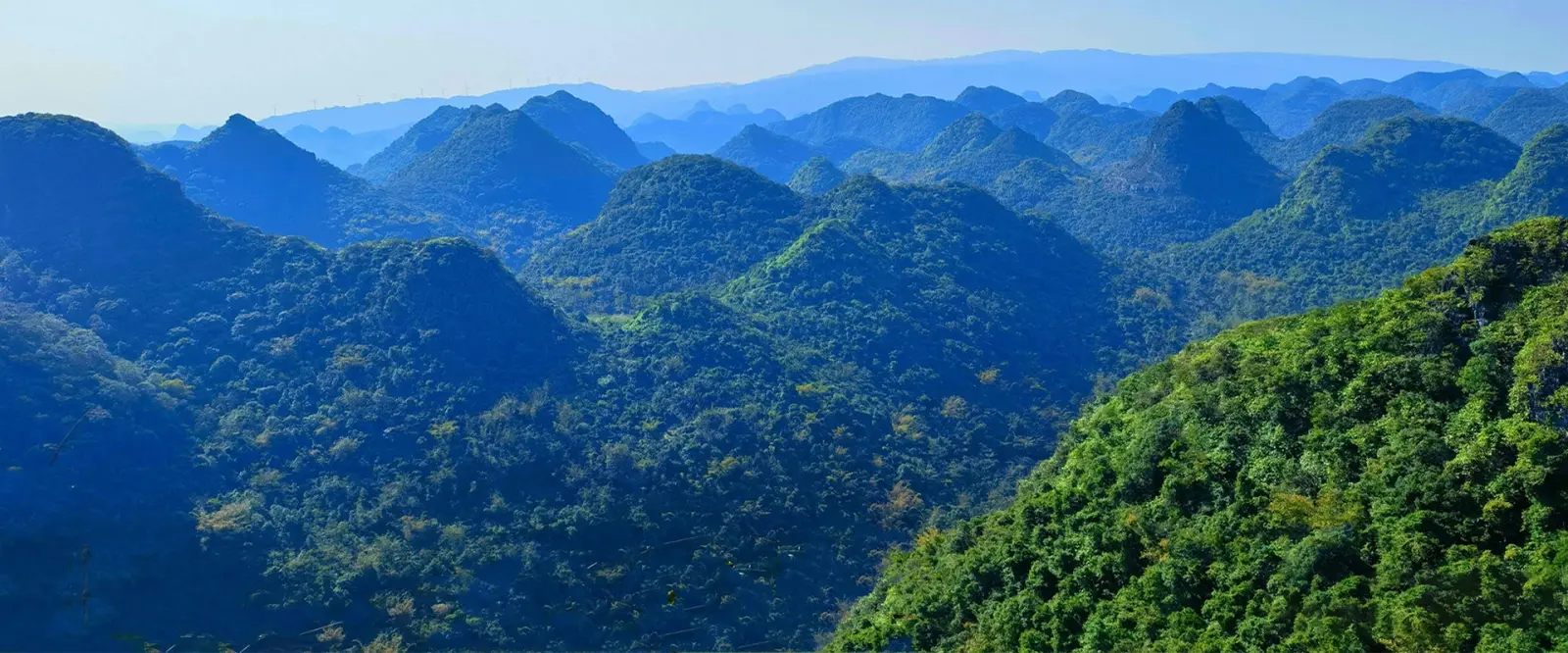 Worldwide Fast Delivery